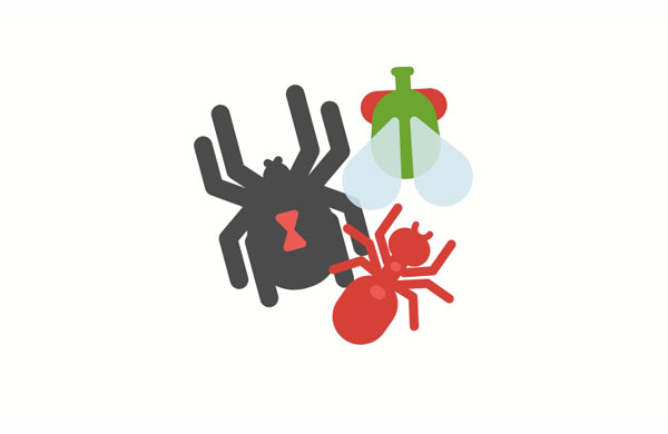 I used to love bugs when I was a kid, but now I think they’re scary!