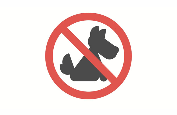 Why can’t I bring my dog on this trip?