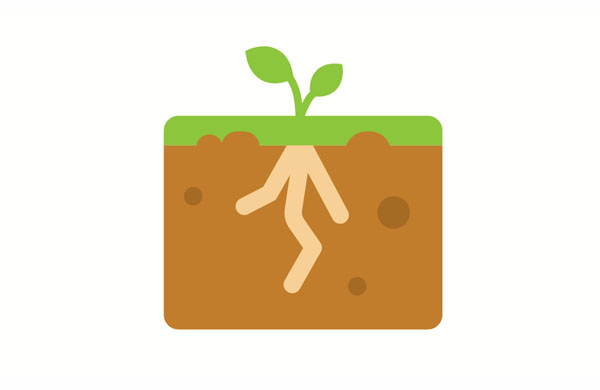Why can’t plants grwo without dirt?