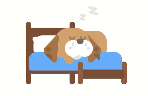 The dog is asleep on the bed.