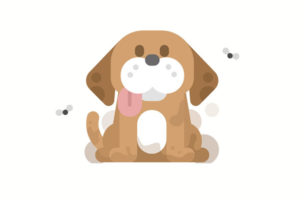 There used to be a lot of flies around our dog because he was always dirty.