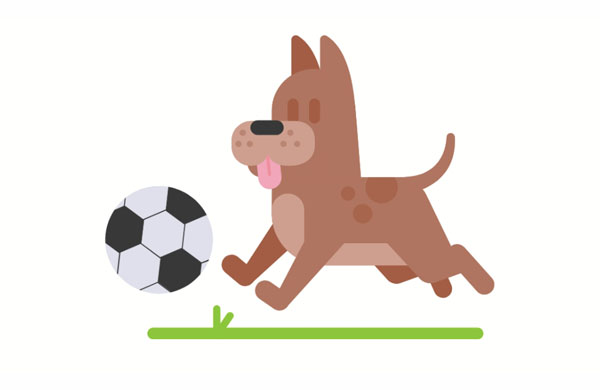 Look, my dog can score goals! He’s really good at soccer!
